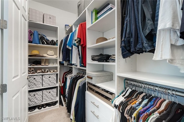 spacious closet featuring carpet