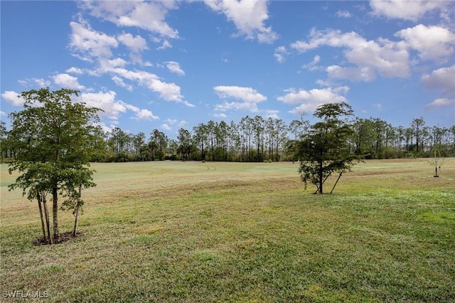 view of yard featuring a rural view