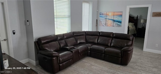 living room featuring wood-type flooring