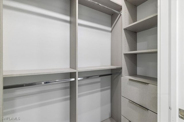 view of spacious closet