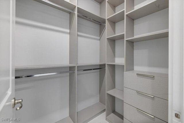 view of spacious closet