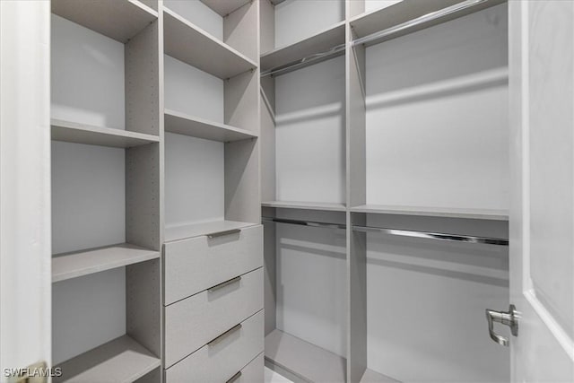 view of spacious closet