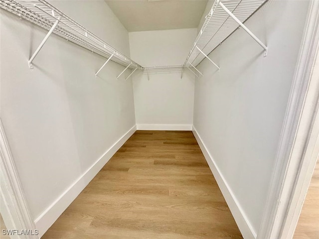 spacious closet with wood-type flooring