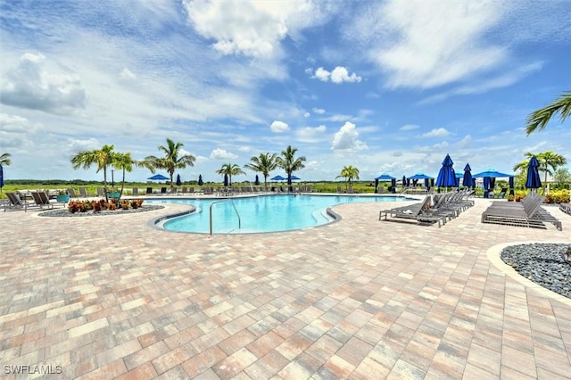 view of swimming pool with a patio area