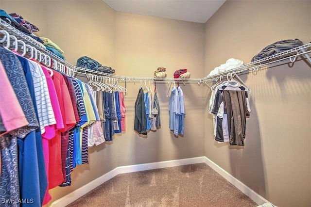 spacious closet with carpet flooring