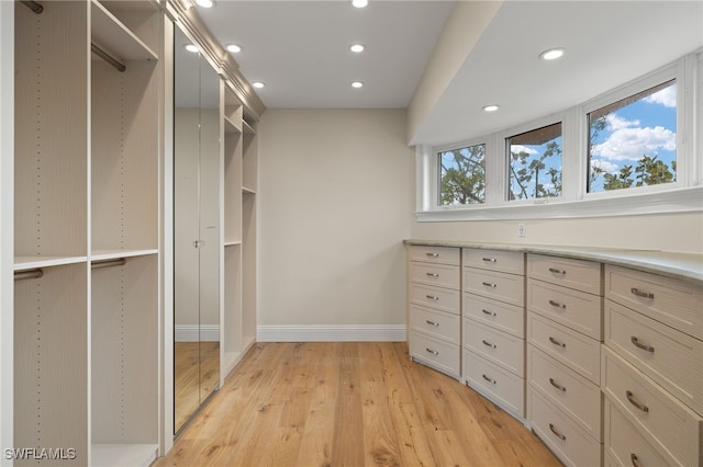 spacious closet with light wood-type flooring