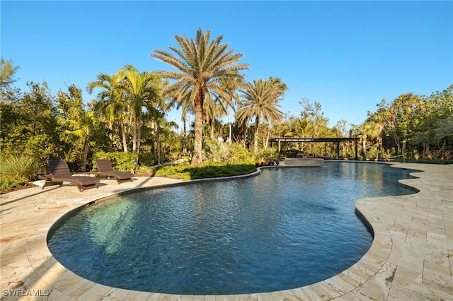 view of swimming pool featuring a pergola and a patio