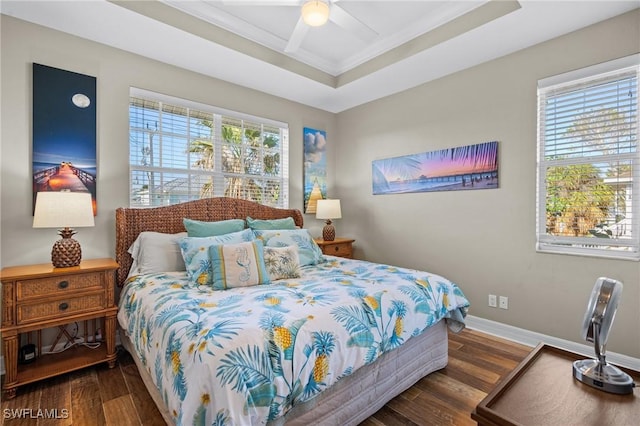 bedroom featuring multiple windows, a raised ceiling, dark wood finished floors, and baseboards