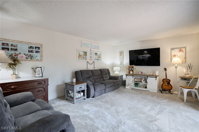 carpeted living room with a textured ceiling