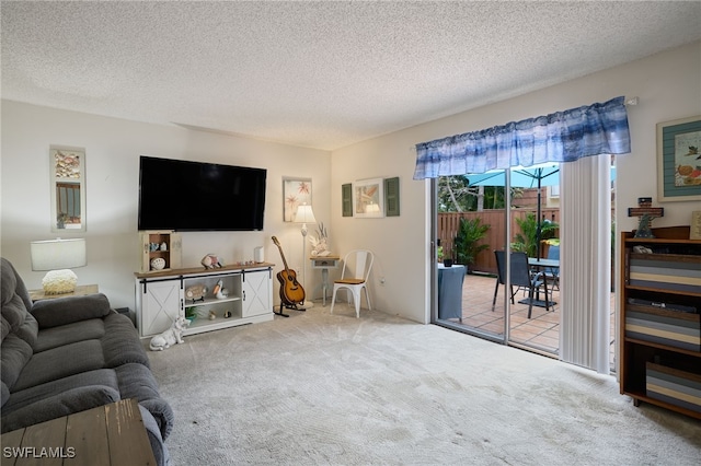 living room with carpet and a textured ceiling