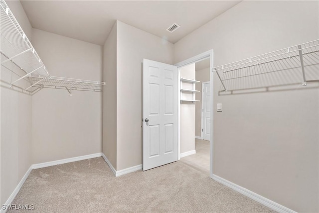 spacious closet with light colored carpet