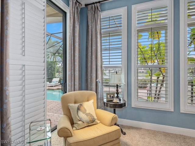 sitting room with carpet floors