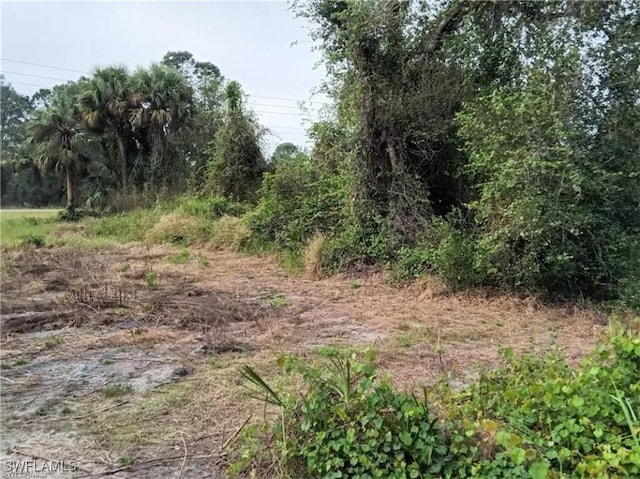 666 Windermere Dr, Lehigh Acres FL, 33972 land for sale