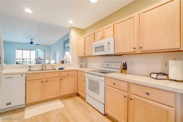 kitchen featuring ceiling fan, light hardwood / wood-style floors, sink, white appliances, and light brown cabinets