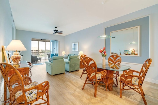 dining room with ceiling fan and light hardwood / wood-style flooring