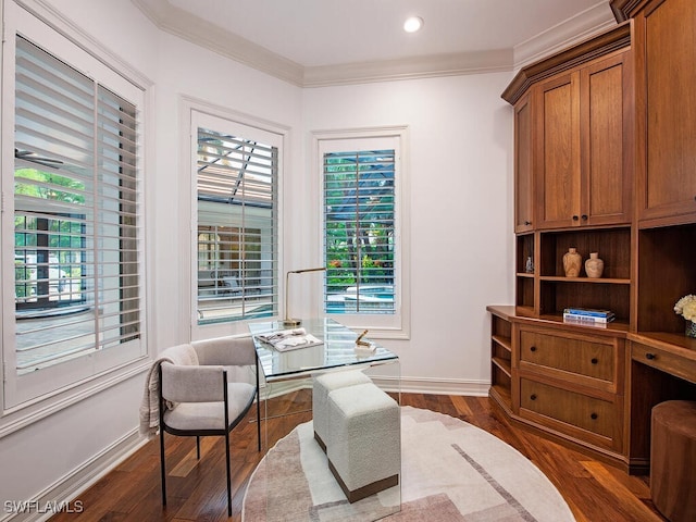 office area with crown molding and dark wood-type flooring