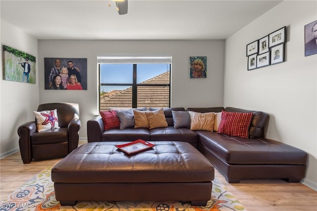 living room featuring light hardwood / wood-style floors