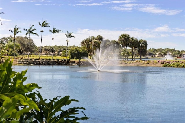 view of water feature