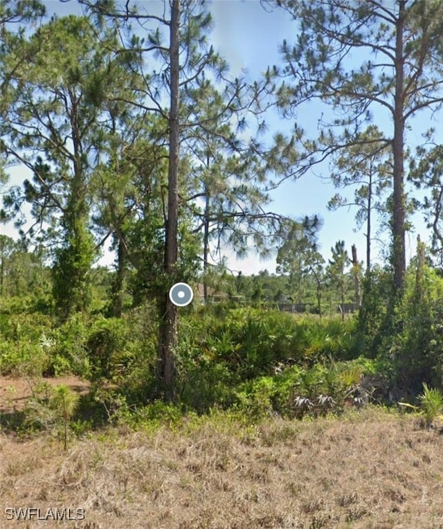 Listing photo 3 for 538 Ames St E, Lehigh Acres FL 33974