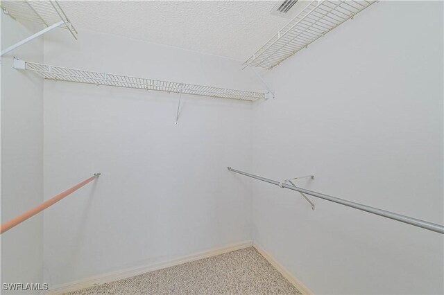 spacious closet featuring carpet floors