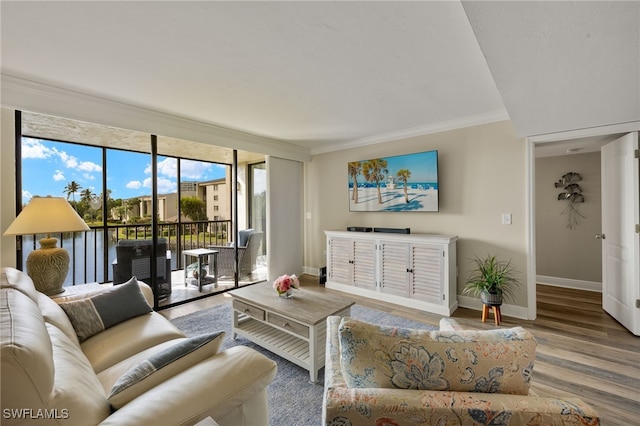 living room featuring crown molding and hardwood / wood-style flooring