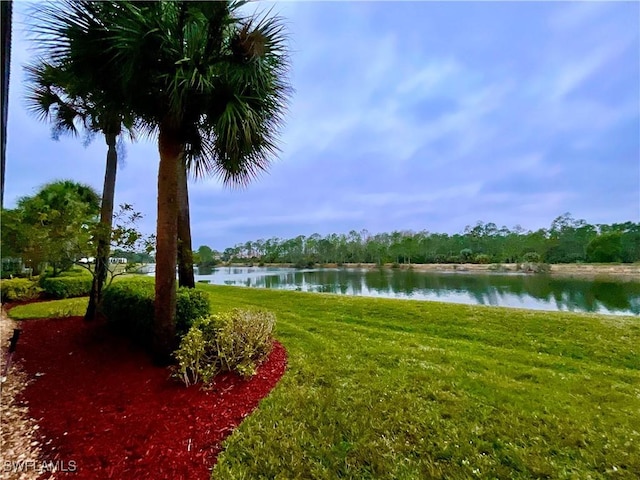 view of yard featuring a water view