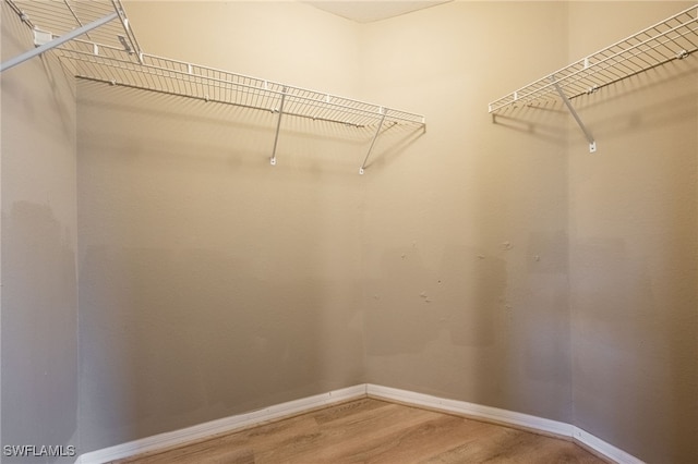 walk in closet featuring wood-type flooring