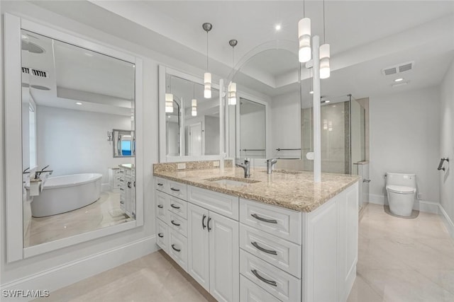 full bathroom featuring a raised ceiling, vanity, separate shower and tub, and toilet