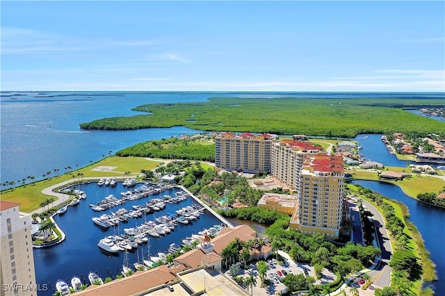 aerial view with a water view