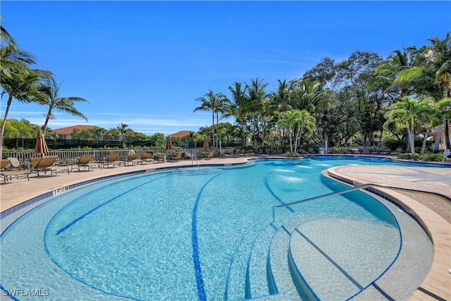 view of pool featuring a patio