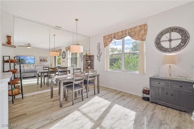 dining room featuring ceiling fan and light hardwood / wood-style floors