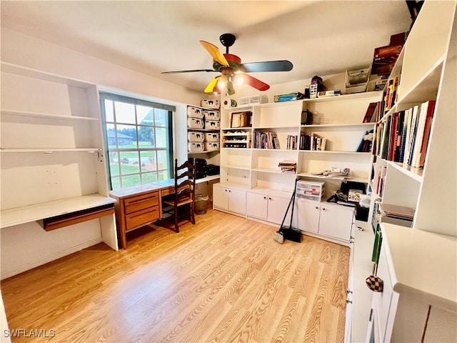 office featuring ceiling fan and light hardwood / wood-style flooring