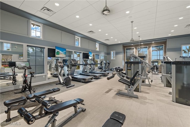 workout area with light carpet