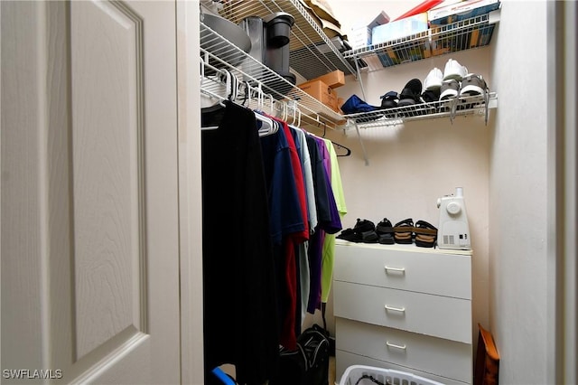 view of spacious closet