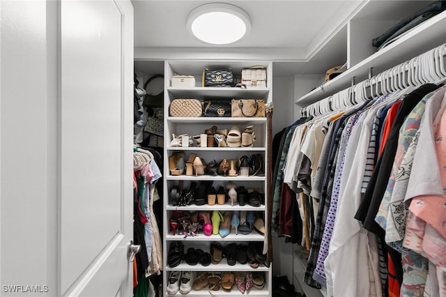 view of spacious closet