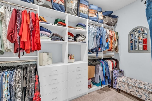 spacious closet featuring carpet