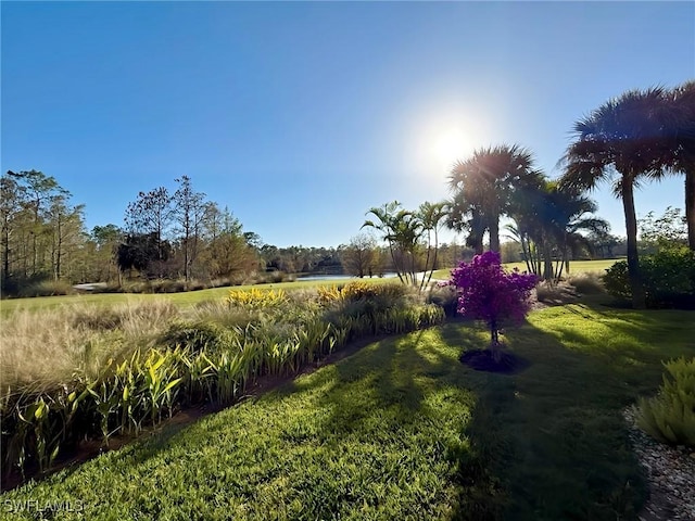 view of yard featuring a rural view