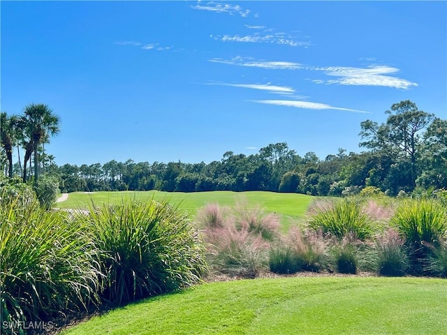 view of yard featuring a rural view