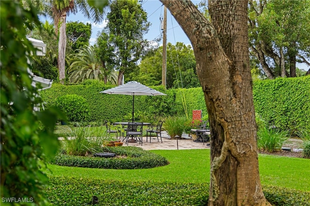 view of yard with a patio area