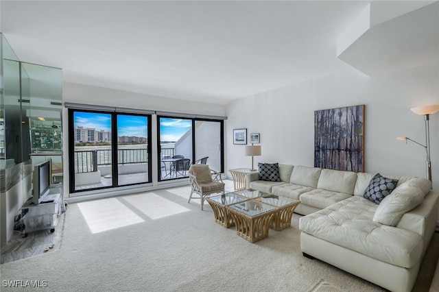 living room with carpet flooring