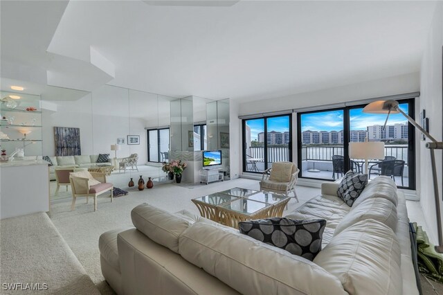 carpeted living room with plenty of natural light