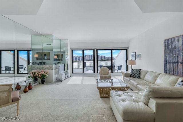 living room featuring light colored carpet