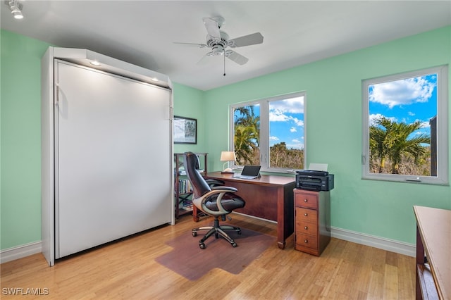 home office with ceiling fan and light hardwood / wood-style flooring