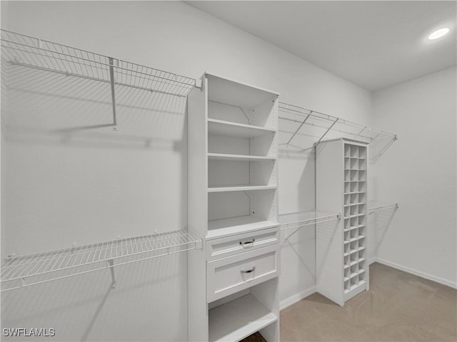 walk in closet featuring light colored carpet