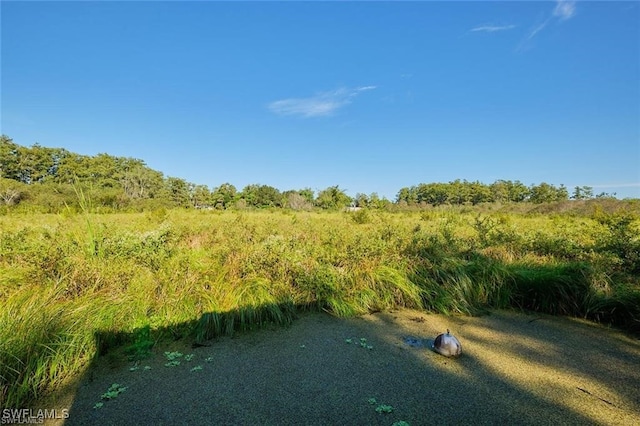 view of yard with a rural view