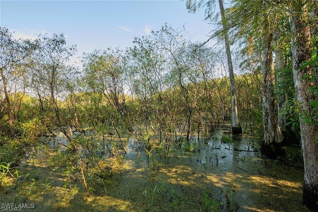 view of landscape