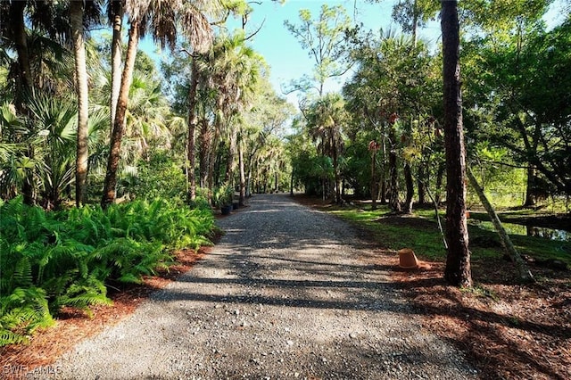 view of road