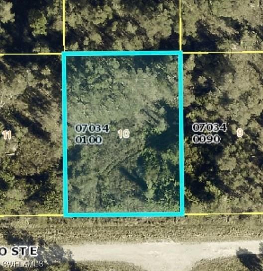 807 Alamo St E, Lehigh Acres FL, 33974 land for sale