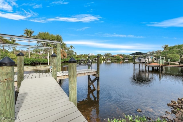 dock area with a water view