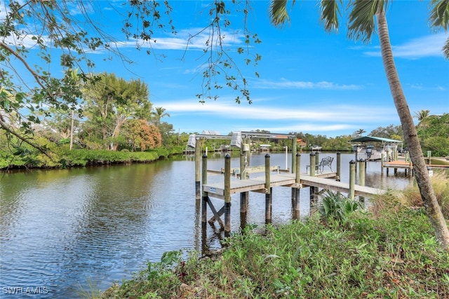 dock area with a water view